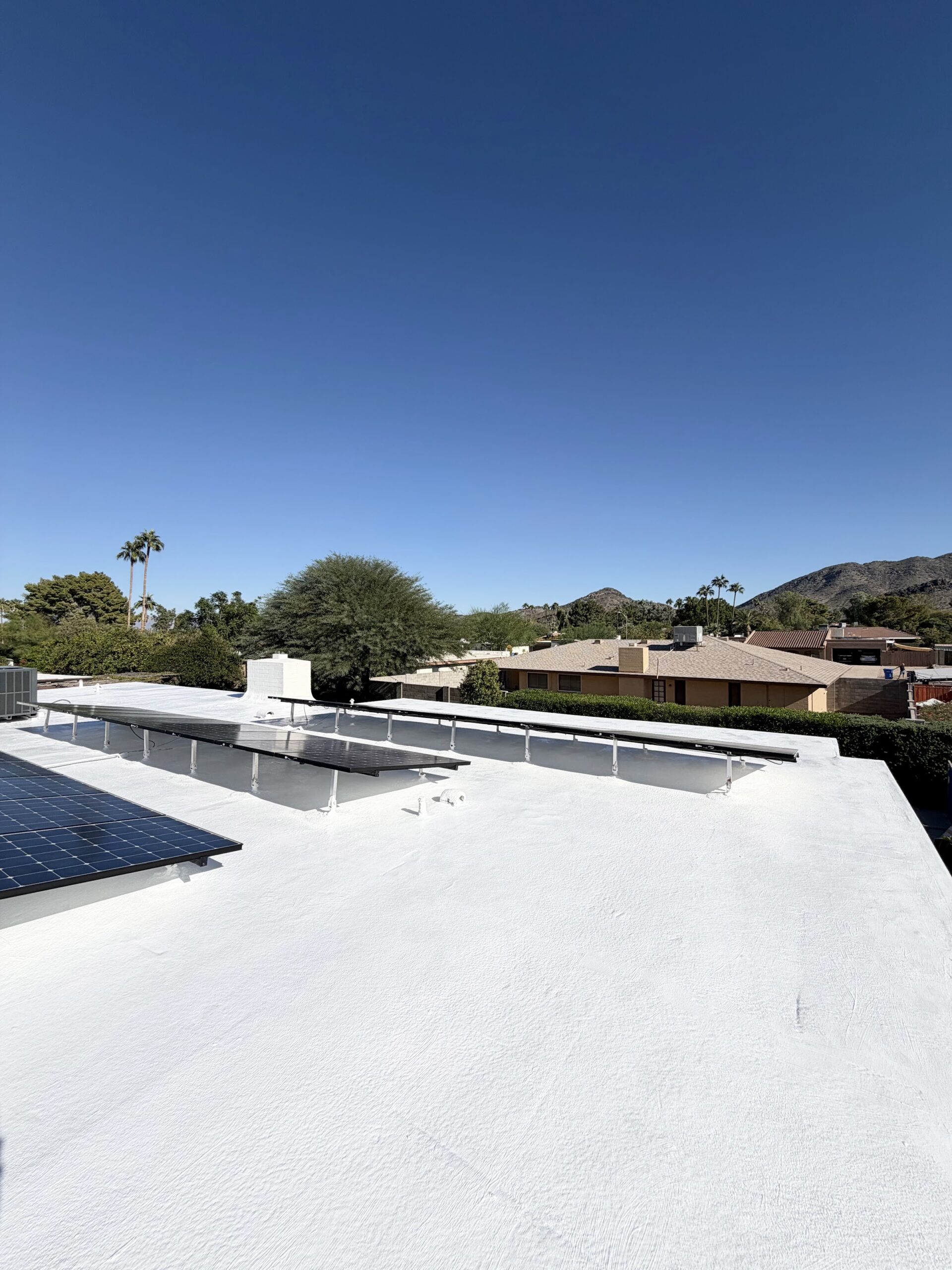 flat roof 2